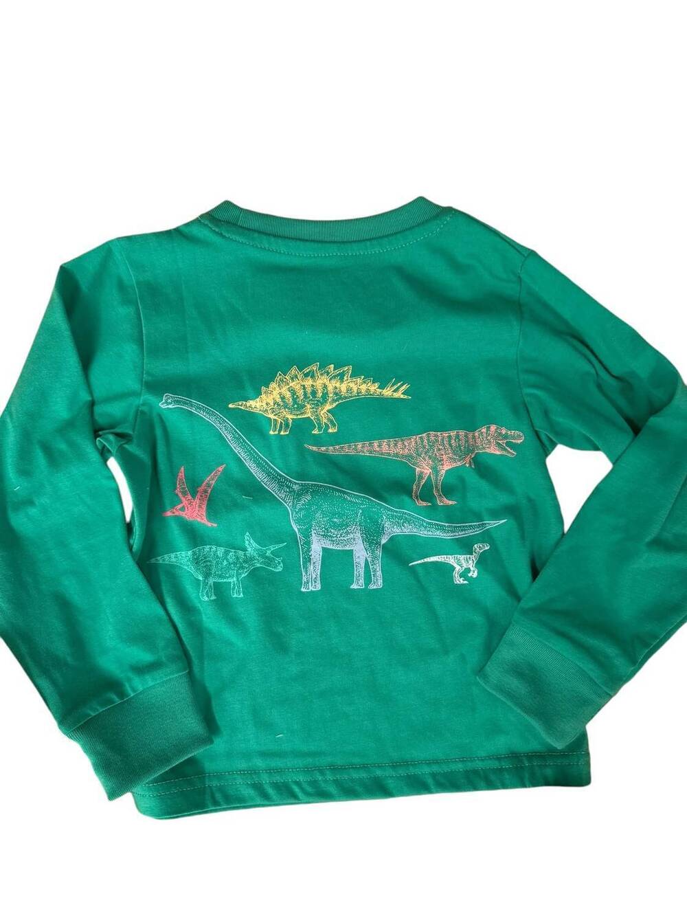 NEW SHRIMP AND GRITS KIDS boy's long sleeve tee in dino